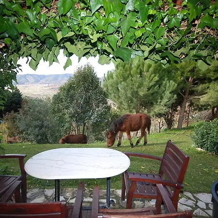 Hotel Aphrodite's Kalawrita