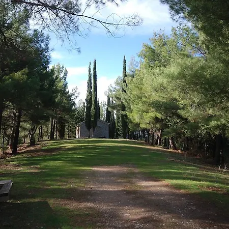 Отель Aphrodite's 4*