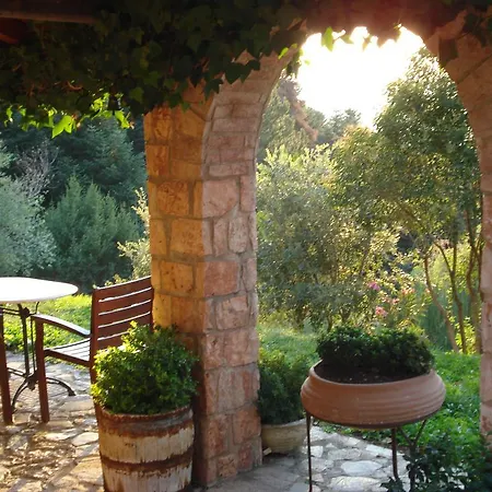 Aphrodite's Hotel