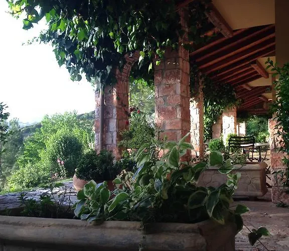 Отель Aphrodite's