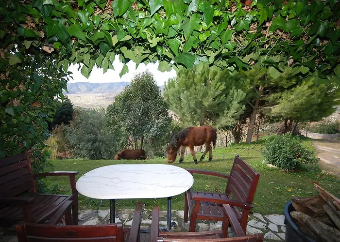 Hotel Aphrodite's Kalavryta