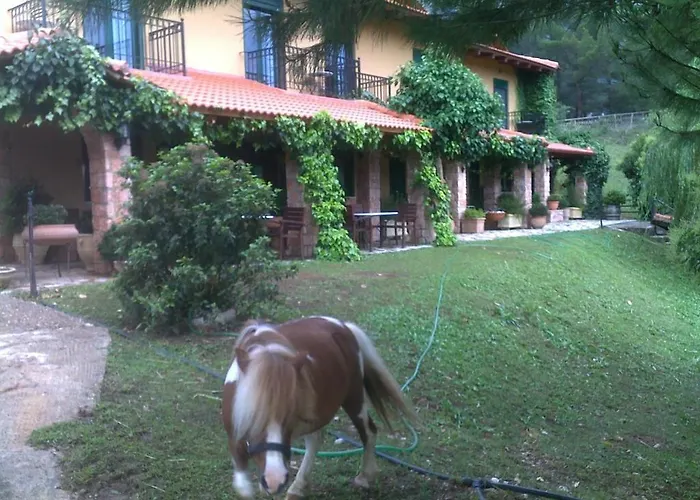 Aphrodite's Отель 4*